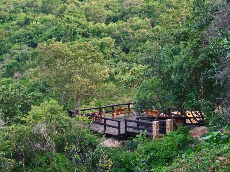 Billede 41 af Phophonyane Falls Ecolodge