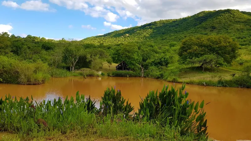 Billede 116 af Wide Horizons Mountain Retreat, Eswatini, Swaziland, 26KM from Malkerns