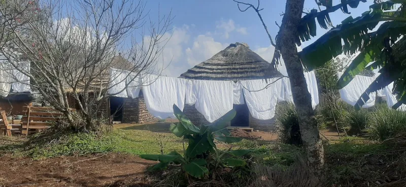 Photo 8 of Swazi Village Home Stay