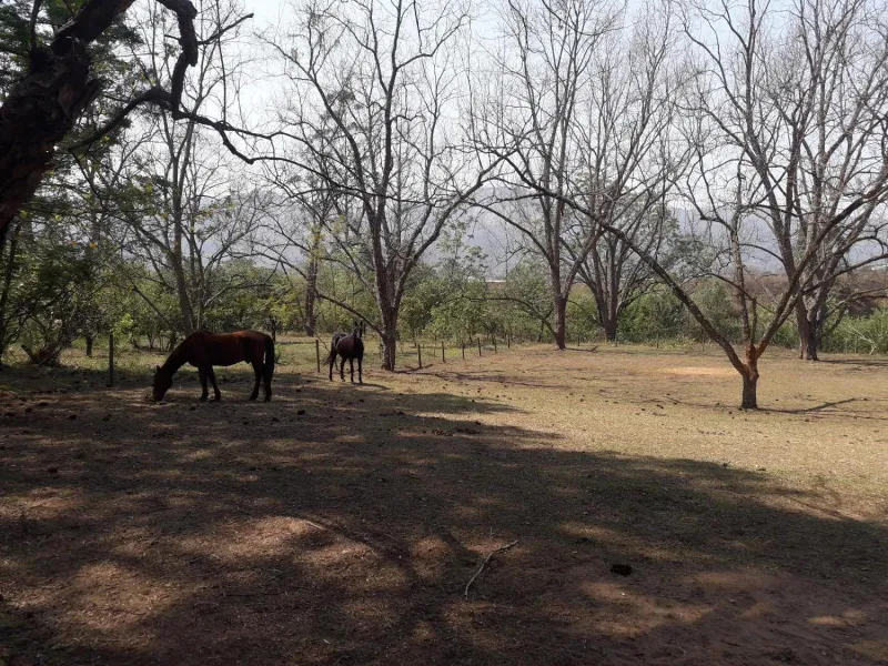 Billede 2 af Buhleni Farm Chalets
