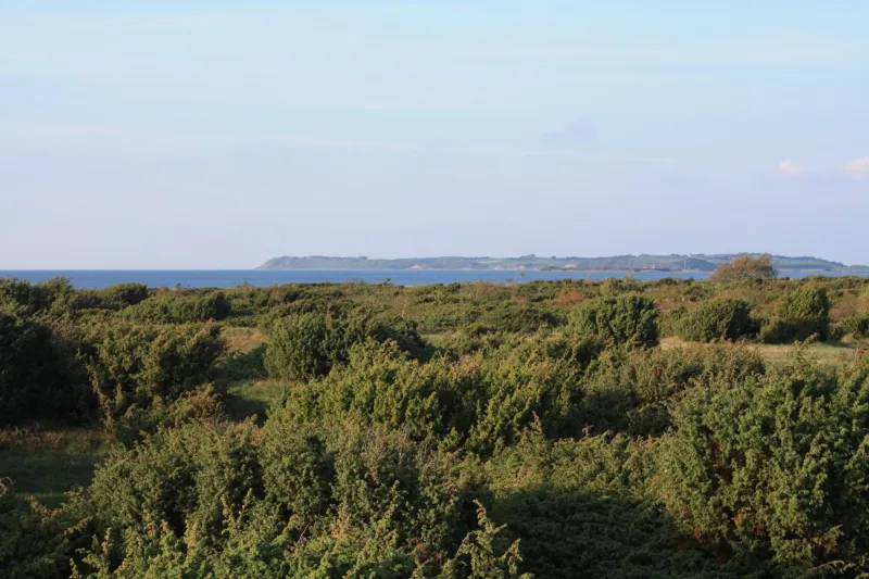 Billede 35 af Vesterlyng Camping and Cottages
