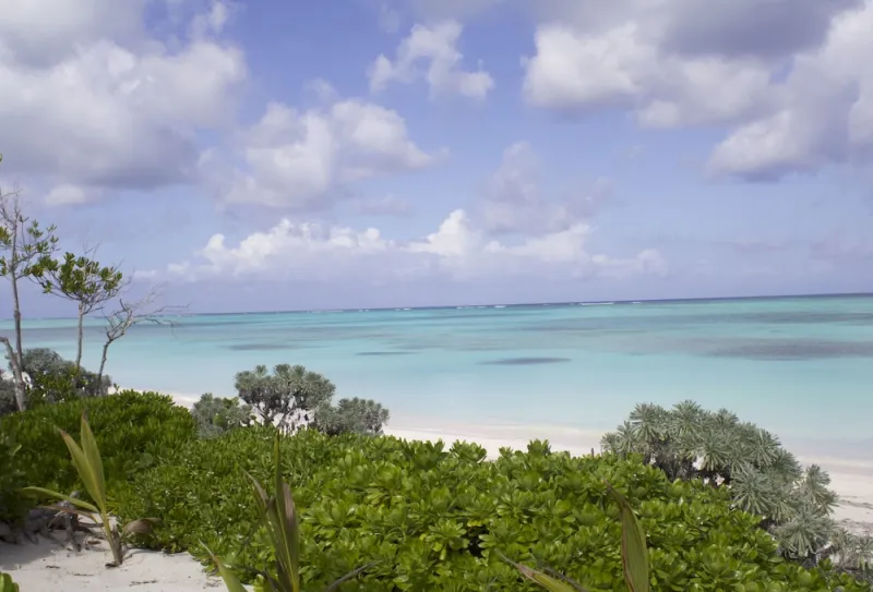 Billede 24 af Pelican Beach Hotel
