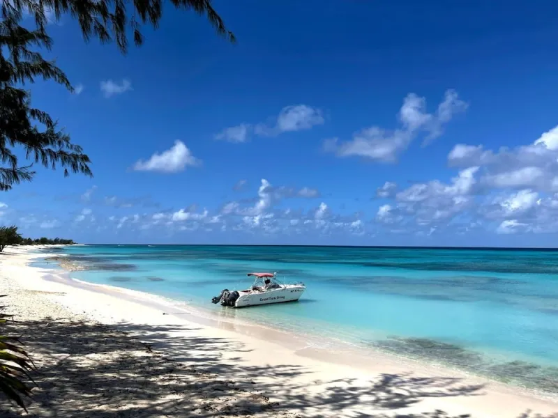 Billede 2 af Osprey Beach Hotel
