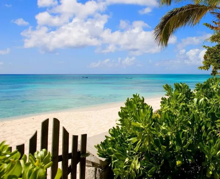 Billede 23 af Osprey Beach Hotel