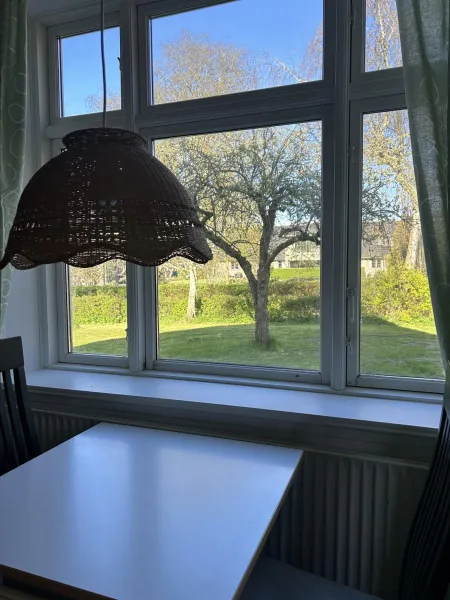 Billede 11 af Bøgebjerggårds Gårdbutik