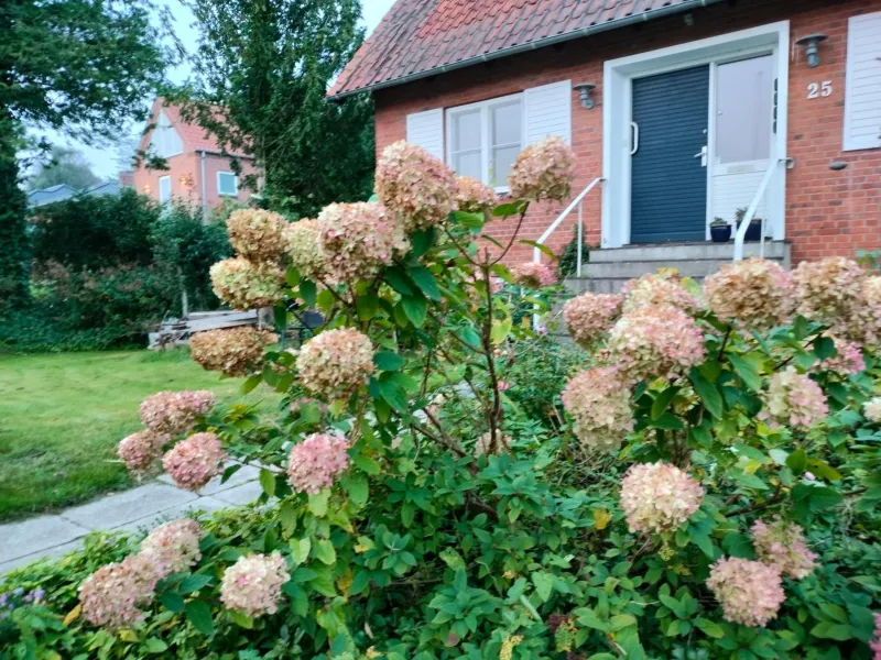 Billede 8 af Porshøjvej