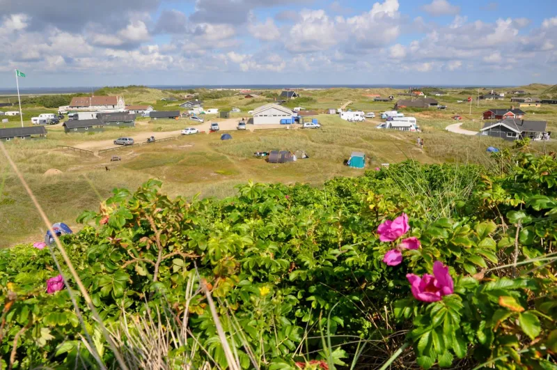 Billede 8 af Dancamps Holmsland (Camp Site)