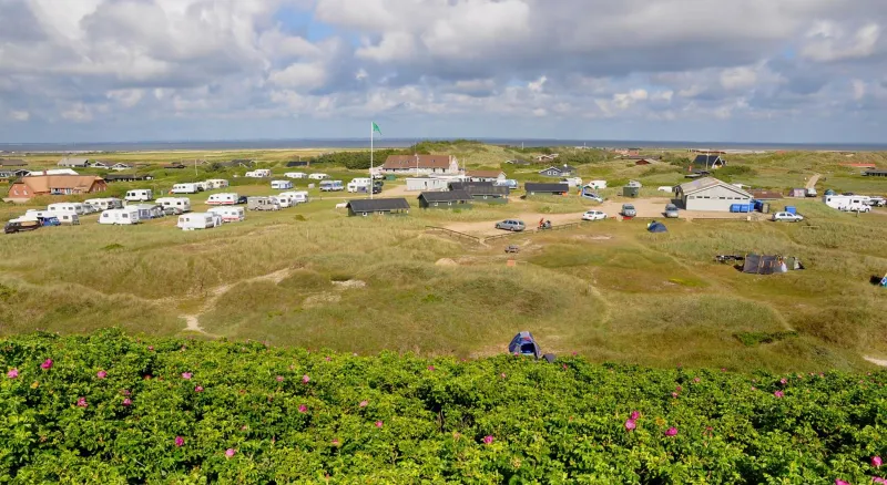 Billede 13 af Dancamps Holmsland (Camp Site)