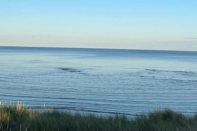 Billede 10 af Sommerhus i Hals nær strand og by.