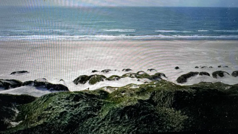 Billede 32 af Veludstyret sommerhus i unik natur 350 m fra lækker badestrand - helårsbolig