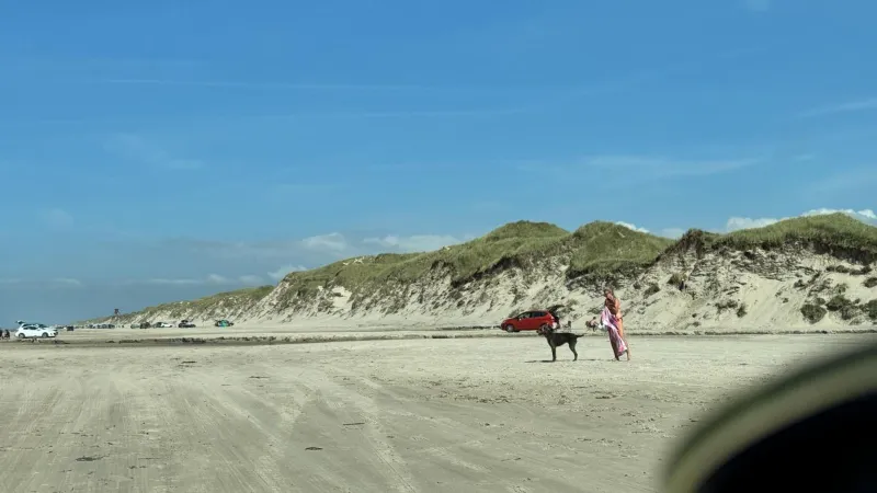 Billede 35 af Veludstyret sommerhus i unik natur 350 m fra lækker badestrand - helårsbolig