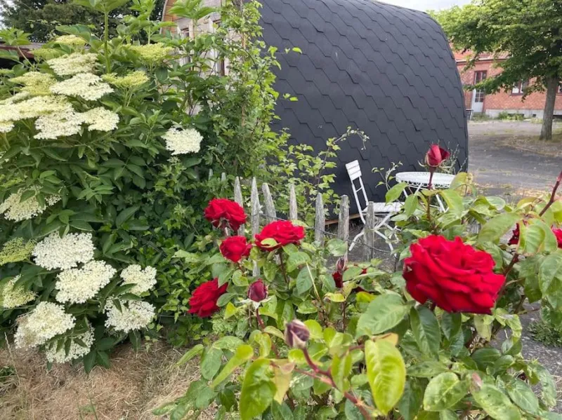 Billede 29 af Stort smukt hus med havudsigt tæt på Møns Klint
