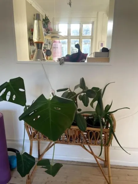 The Heart of Nørrebro Apartment, sleeps 4 people photo 75