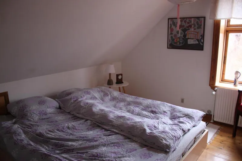 Borup Bed & Breakfast photo 5