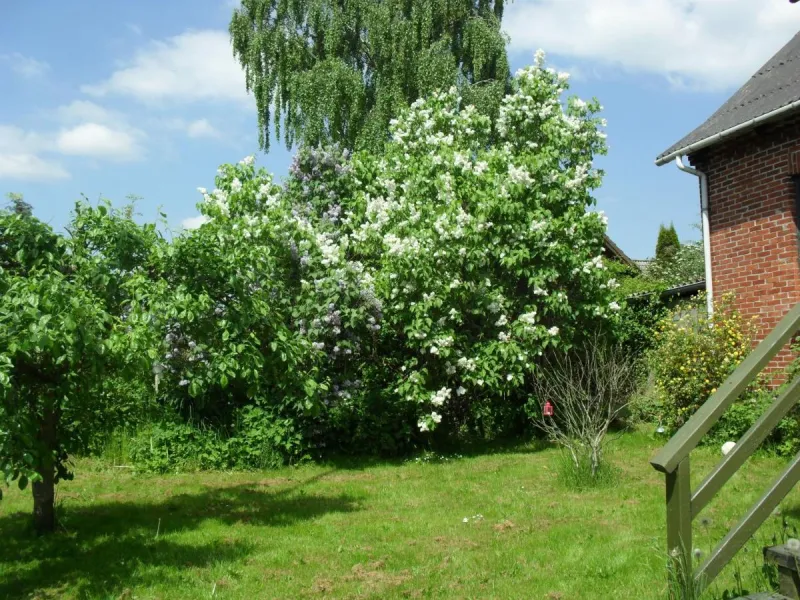 Borup Bed & Breakfast photo 51