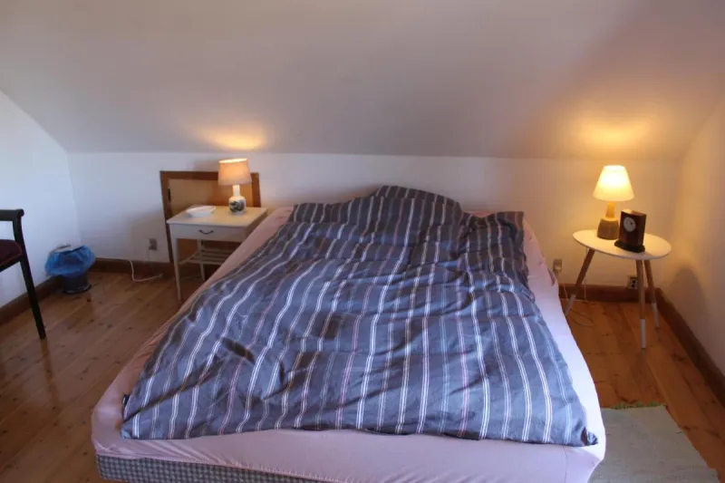 Borup Bed & Breakfast photo 53