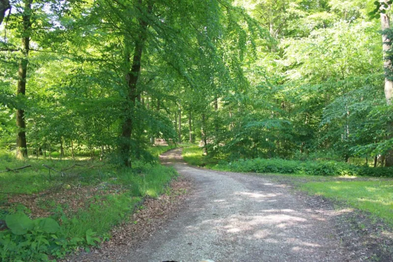 Borup Bed & Breakfast photo 55