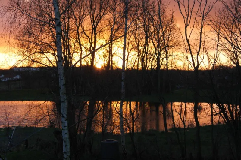 Borup Bed & Breakfast photo 56