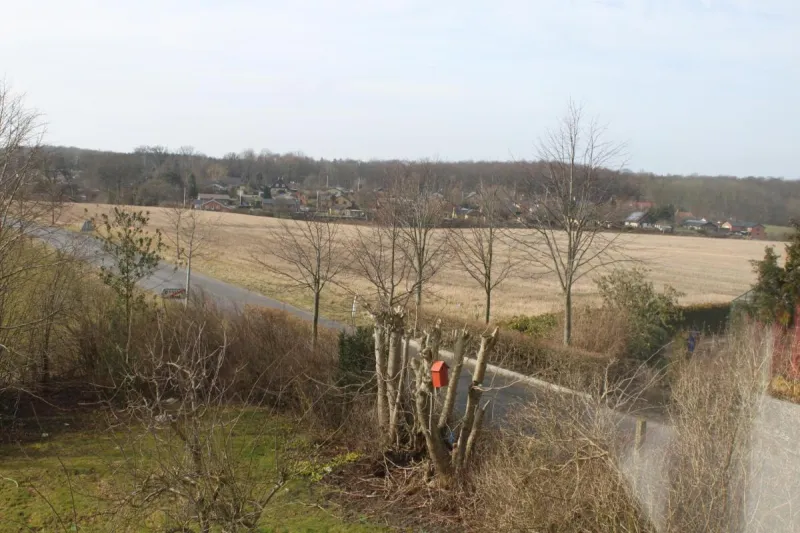 Borup Bed & Breakfast photo 57