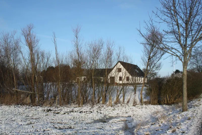 Borup Bed & Breakfast photo 58
