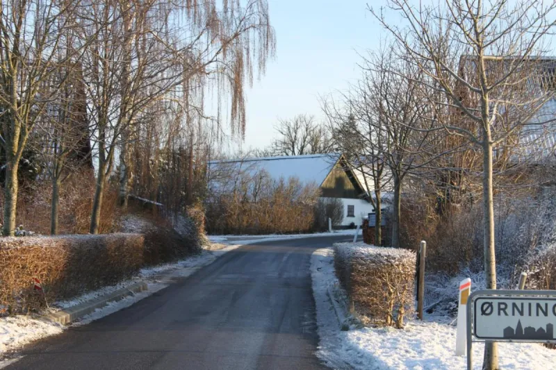 Borup Bed & Breakfast photo 62