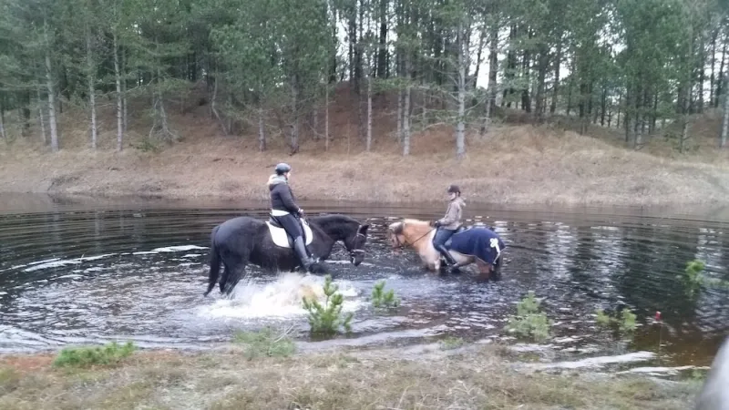 Nørrevang photo 13