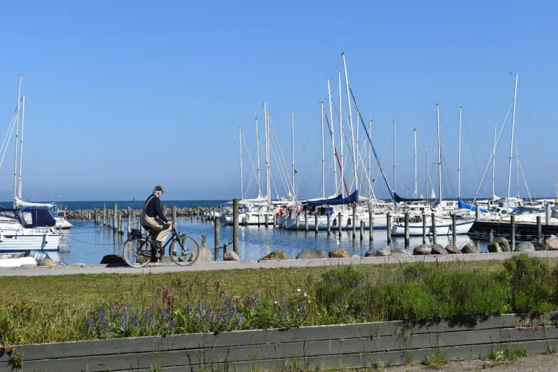 Kerteminde Byferie - Hyrdevej 83, 85K photo 3