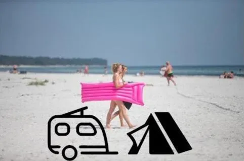 Dueodde Camping photo 1