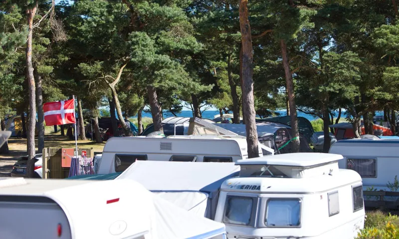 Dueodde Camping photo 6