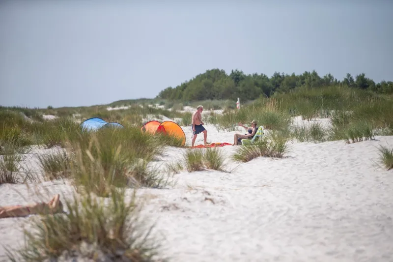 Dueodde Camping photo 9