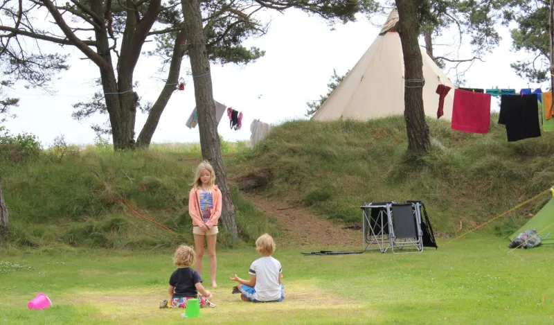Dueodde Camping photo 10
