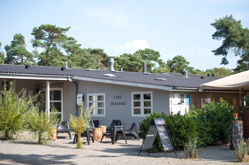 Dueodde Camping photo 18