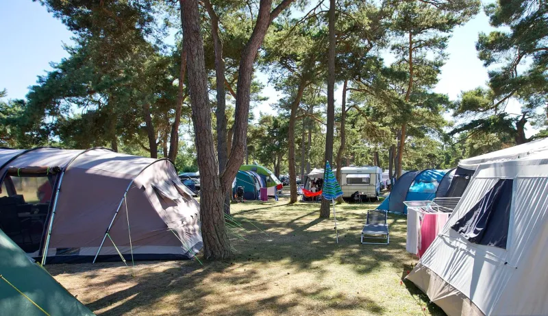 Dueodde Camping photo 19