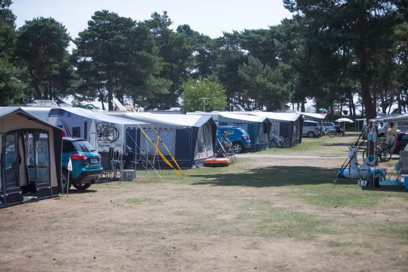 Dueodde Camping photo 22
