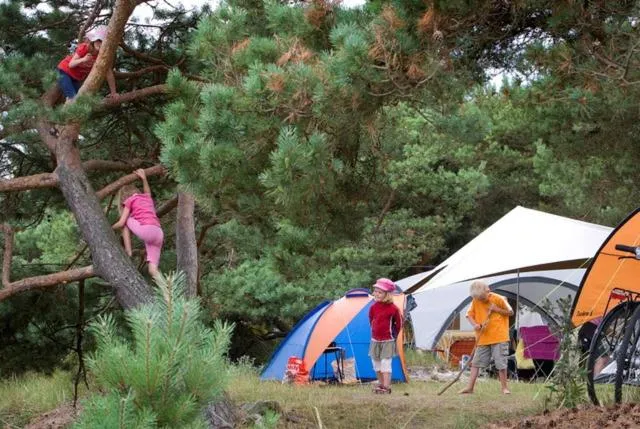 Dueodde Camping photo 24
