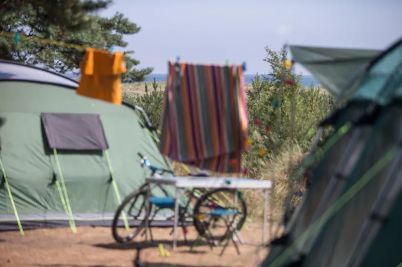 Dueodde Camping photo 25