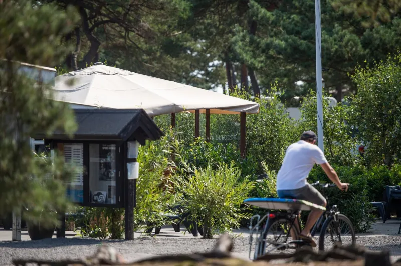 Dueodde Camping photo 27