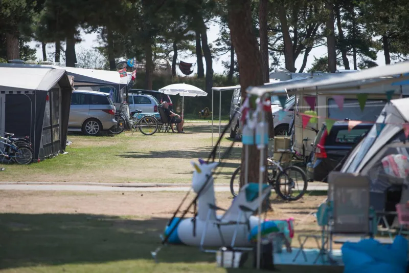 Dueodde Camping photo 30