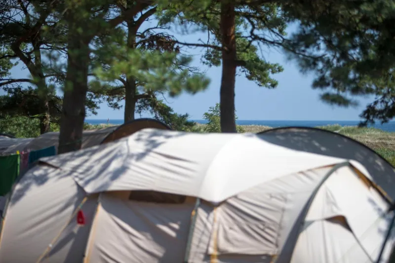 Dueodde Camping photo 31