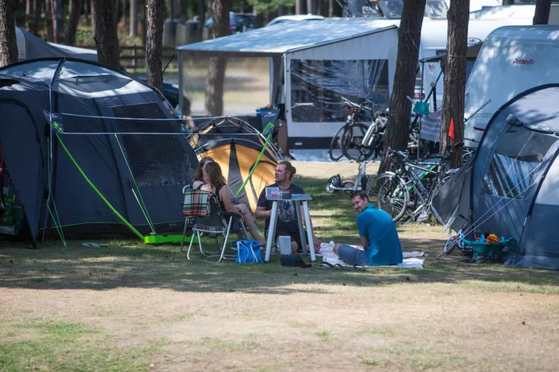 Dueodde Camping photo 35
