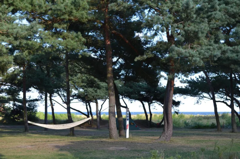 Dueodde Camping photo 36