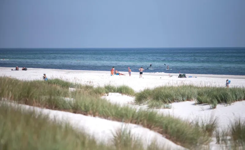 Dueodde Camping photo 38
