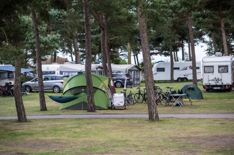 Dueodde Camping photo 39