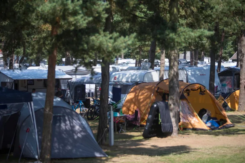Dueodde Camping photo 40