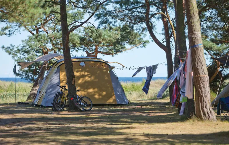 Dueodde Camping photo 48