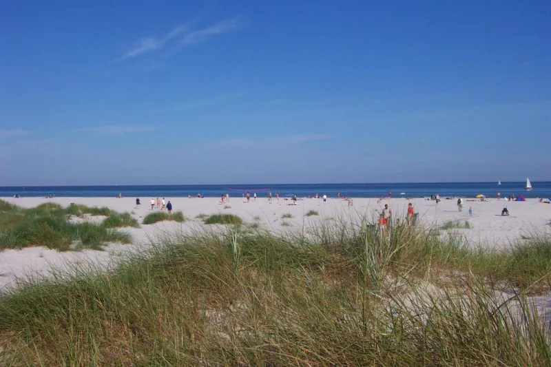 Dueodde Camping photo 49