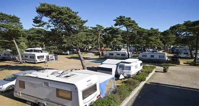 Dueodde Camping photo 53