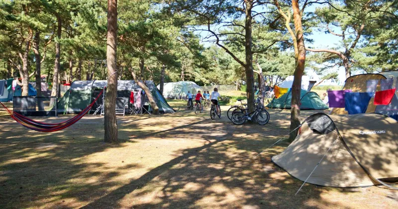 Dueodde Camping photo 54