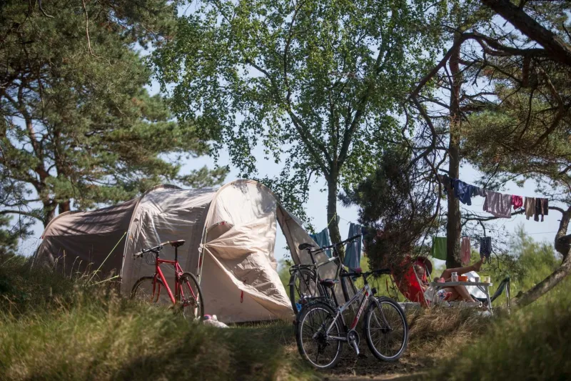 Dueodde Camping photo 55