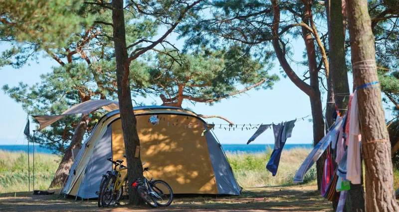 Dueodde Camping photo 56